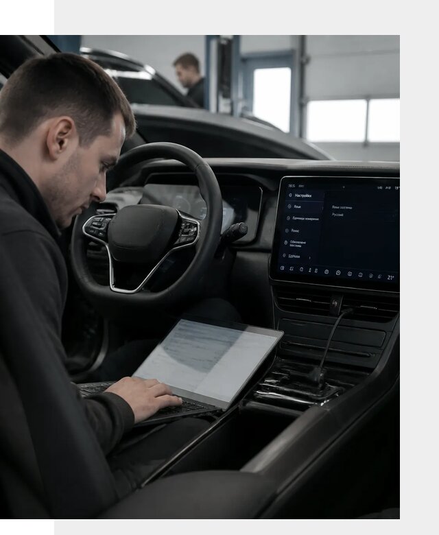 Русификация автомобилей BYD под ключ для всех моделей в Устях-Илимске